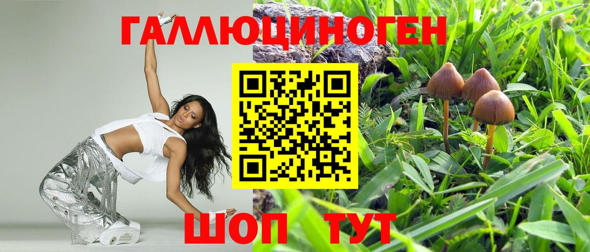 Псилоцибиновые грибы GOLDEN TEACHER Ржев