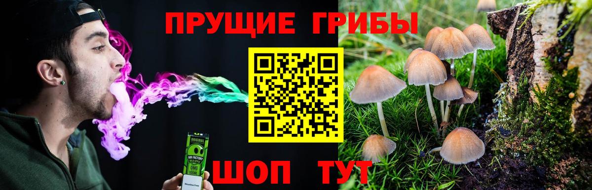 Ржев  Галлюциногенные грибы MAGIC MUSHROOMS  наркотики  Вход с VPN 